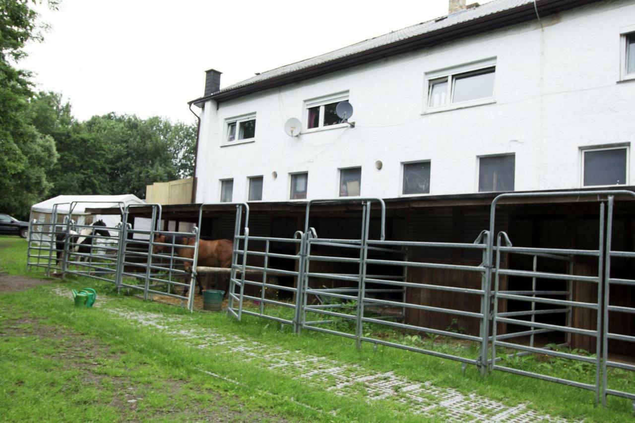 Ferienwohnung Ulrichstein/ Bobenhausen II Bobenhausen Zwei Dış mekan fotoğraf